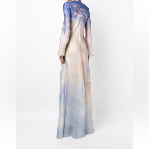 ZIMMERMAN Tama printed floor length gown, vanilla sky, size 1 (US 6) - Picture 5 of 9